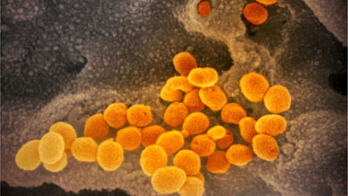 Фото - Раскрыт неизвестный механизм заражения коронавирусом