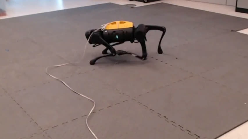 Фото - Нейросеть научила робота ходить за один час