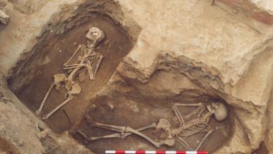 Фото - Археологи выяснили, что древние римляне экономили на жертвоприношениях