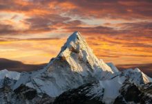 Фото - Какие животные обитают на Эвересте — самой высокой точке Земли