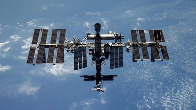 Фото - NASA заявило о желании продлить с Россией договор о перекрестных полетах на МКС
