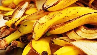 Фото - Ученые советуют не выбрасывать бананы: из них можно сделать кое-что полезное