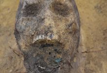 Фото - В Индонезии найден новый вид древнего человека