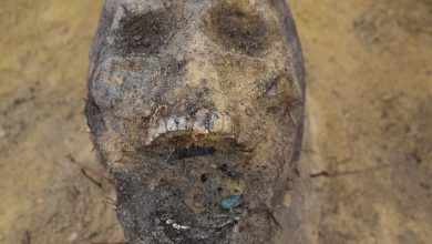 Фото - В Индонезии найден новый вид древнего человека