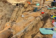 Фото - Израильские археологи нашли бивень прямозубого слона возрастом 500 тыс. лет