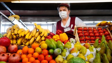 Фото - Медики посоветовали съедать полкило овощей и фруктов в день для снижения риска смерти