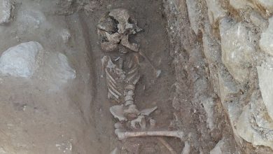 Фото - В Мексике обнаружили останки человека возрастом 8000 лет, которым теперь грозит уничтожение