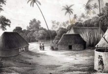 Фото - Археологи выяснили, что завезенные из Европы болезни убили до 86% жителей острова Тонгатапу