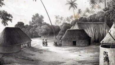 Фото - Археологи выяснили, что завезенные из Европы болезни убили до 86% жителей острова Тонгатапу