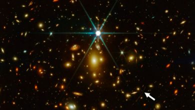 Фото - Астрономы подтвердили существование сверхблизких звездных пар