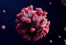 Фото - Биологи создали иммуногены, эффективные при любых штаммах коронавируса