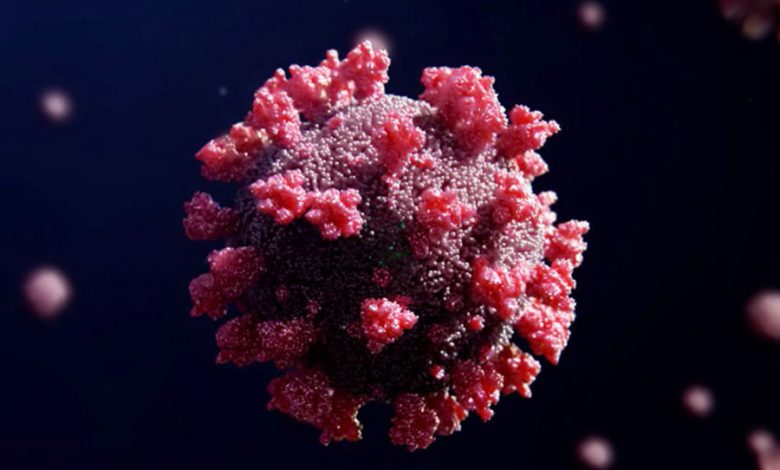 Фото - Биологи создали иммуногены, эффективные при любых штаммах коронавируса