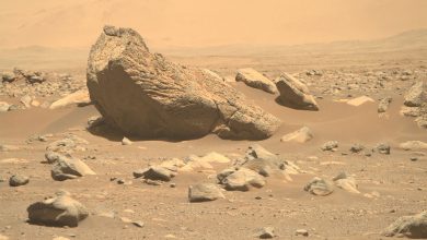 Фото - Биологи выяснили, что бактерии могли прожить на Марсе в спячке более 280 млн лет