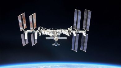 Фото - Экипаж Crew Dragon перешел на МКС