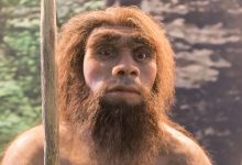 Фото - Генетики выяснили, какие народы России больше похожи на неандертальцев