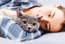 Фото - Иммунологи выяснили, как вылечить аллергию на кошек
