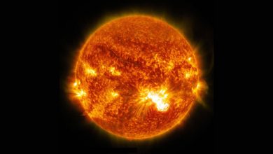Фото - РАН: в октябре на Солнце были зафиксированы мощнейшие вспышки