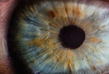 Фото - Российские медики разработали новый способ лечения роговицы глаза