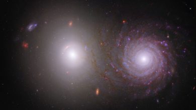 Фото - Телескопы James Webb и Hubble увидели изображение галактики, разорванное гравитацией