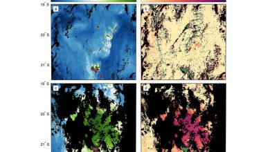 Фото - Ученые обнаружили, что извержение вулкана Тонга вызвало обильное цветение океана