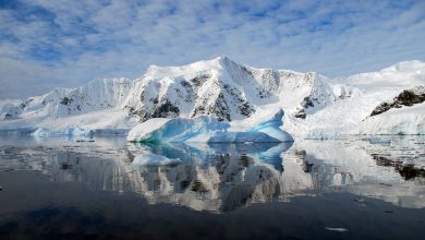 Фото - У берегов Антарктиды обнаружили ДНК возрастом миллион лет