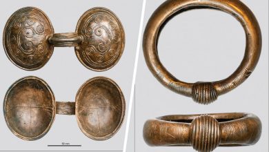 Фото - В Польше обнаружили клад бронзового века с изящными украшениями
