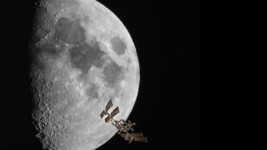 Фото - В «Роскосмосе» рассказали, когда российские космонавты высадятся на Луну