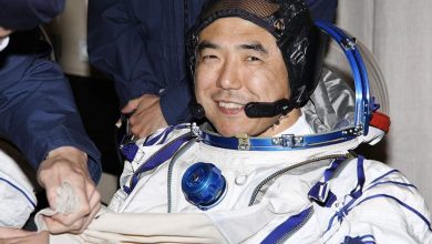 Фото - В Японии обвинили астронавта в подделке данных научного эксперимента
